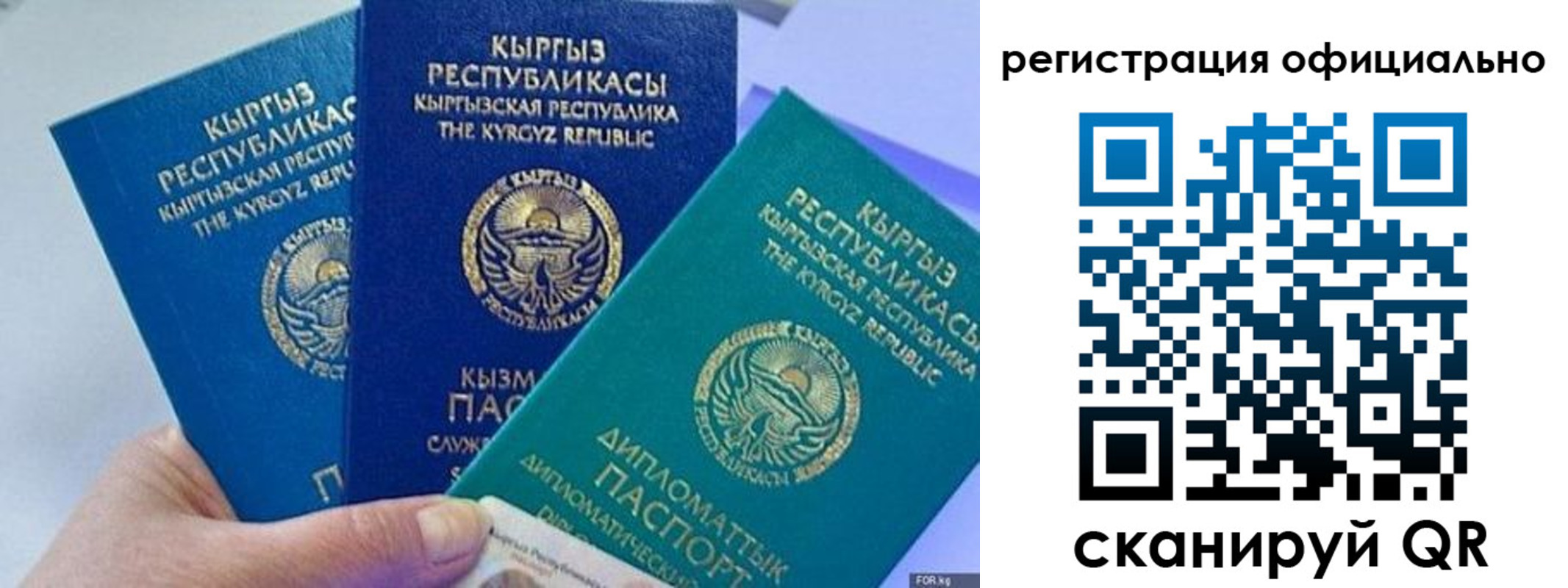 прописка в Пролетарске